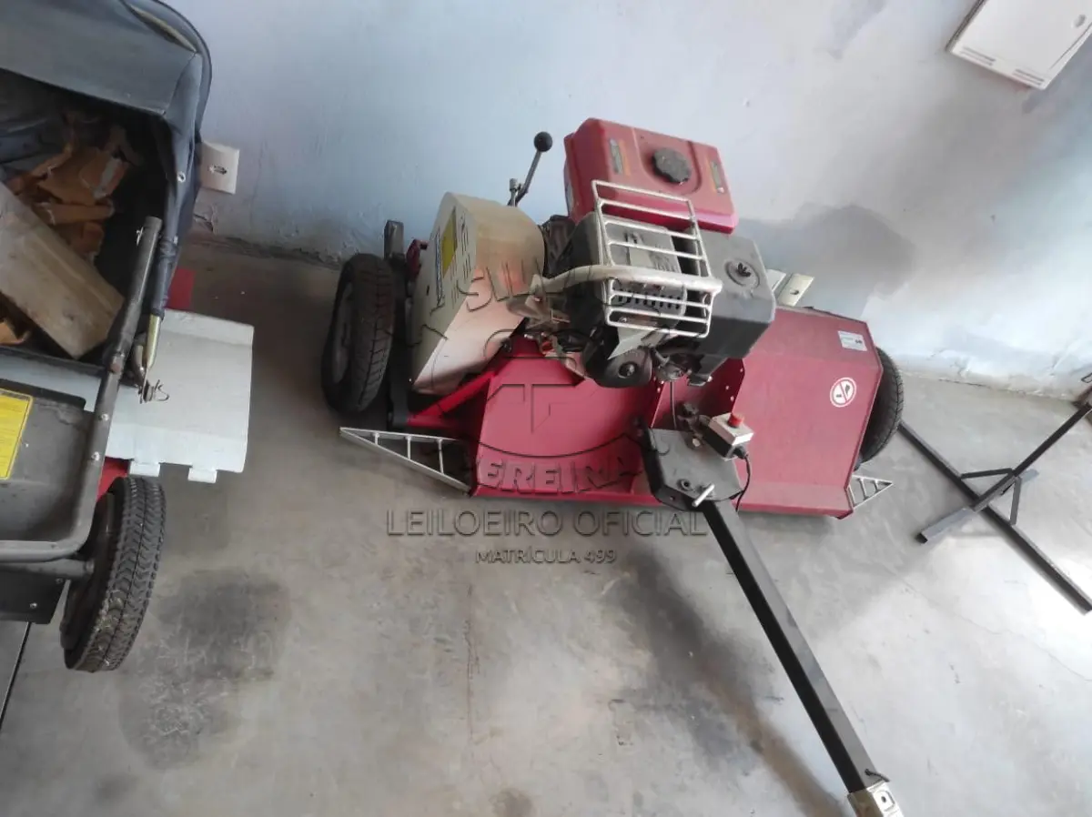 LOTE 007 - CORTADOR DE GRAMA